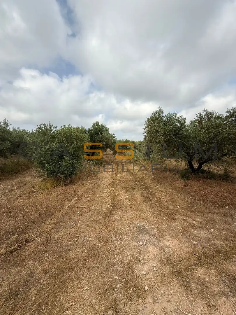Rustikales Grundstück zum Verkauf in Partida Planes 1, imagen 11