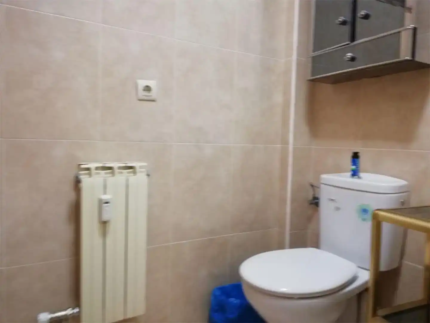 Bany de Pis per a compartir en San Martín