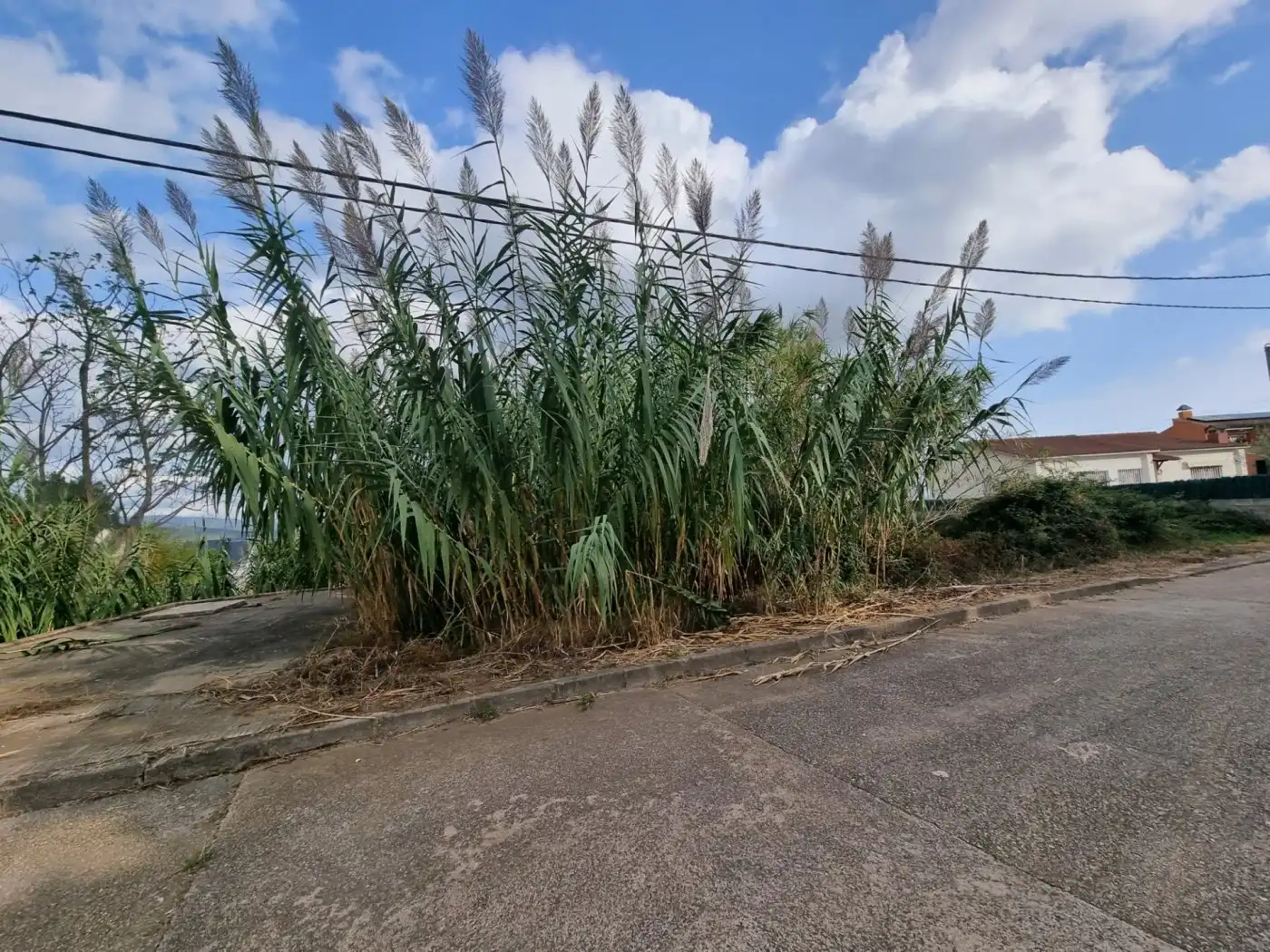 Lands and plots for sale in Calle BAGES, imagen 9
