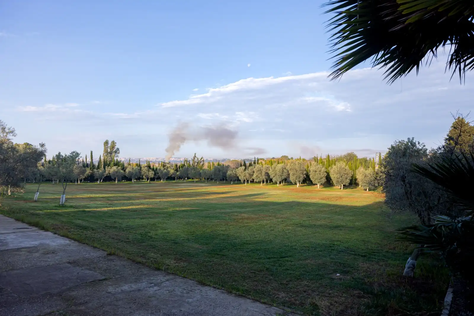 Jardín de Finca rústica en venta en Jerez de la Frontera con Jardín privado