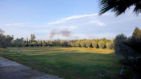 Foto 2 de Finca rústica en venta en El Rocío - La Milagrosa, Jerez de la Frontera