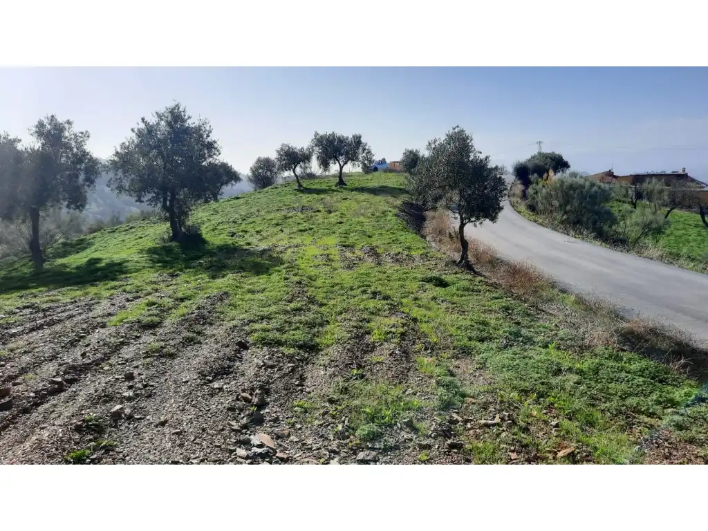 Terrenos y solares en venta en Almogía, imagen 16