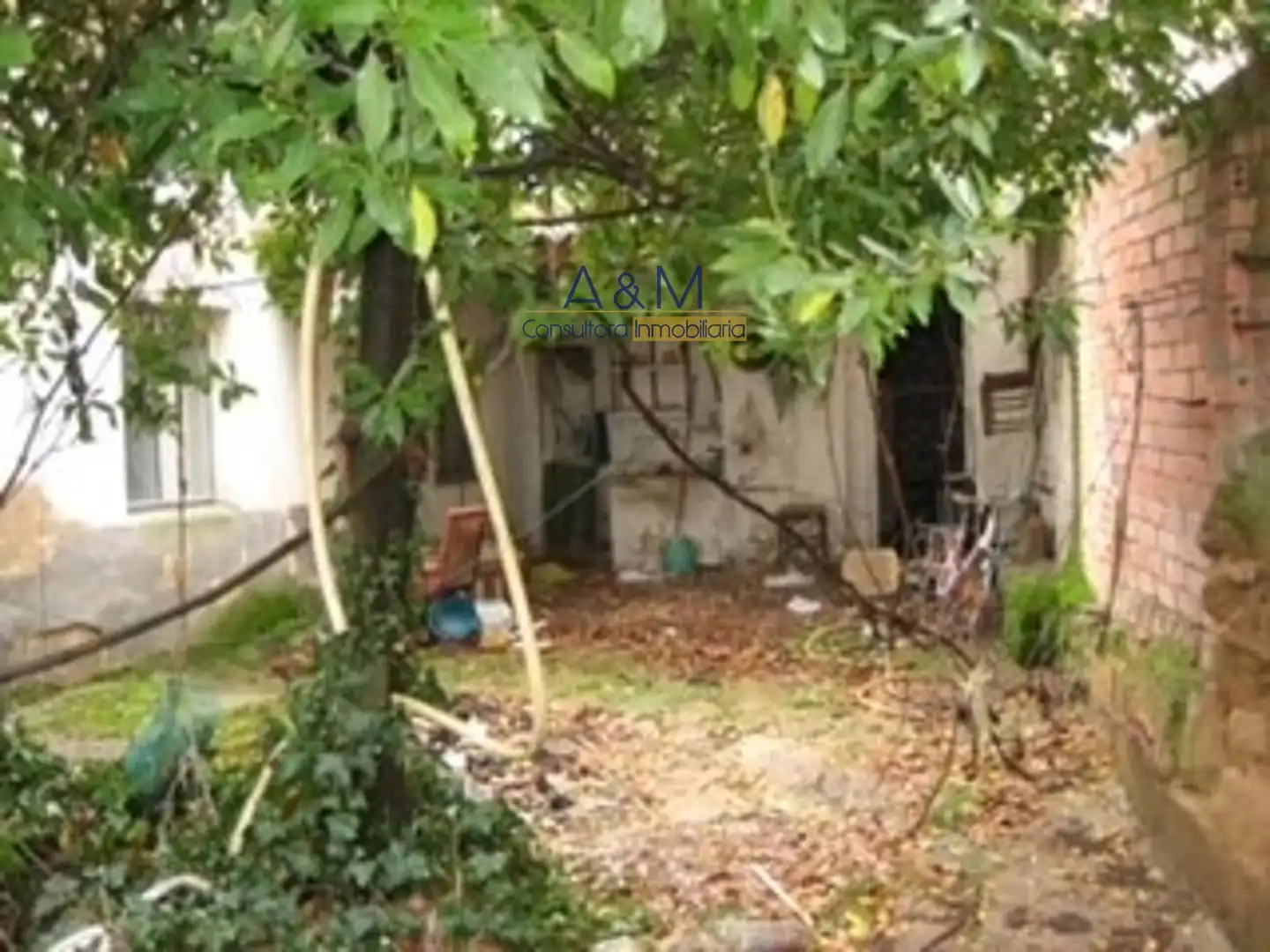 Maison à vendre à Castillo, imagen 3