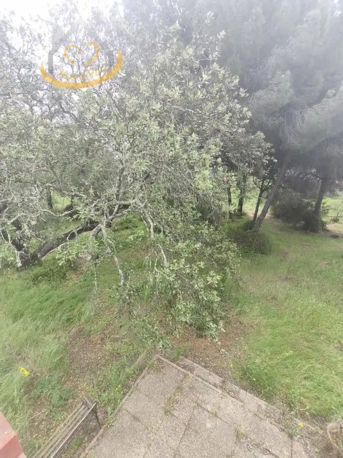 Terreni e lotti in vendita a Villablanca, imagen 11