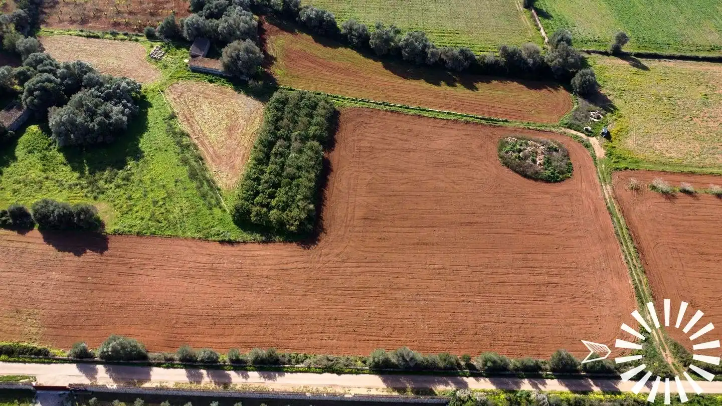 Terrain rustique à vendre à Cami de Son Pau, imagen 34