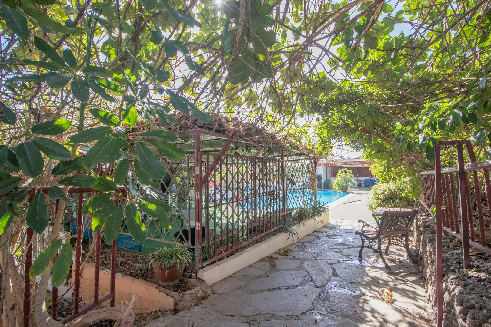 Swimming pool of Houses for sale in San Miguel de Abona