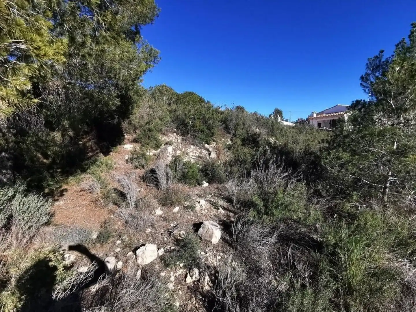 Residencial en venda en Pedralba