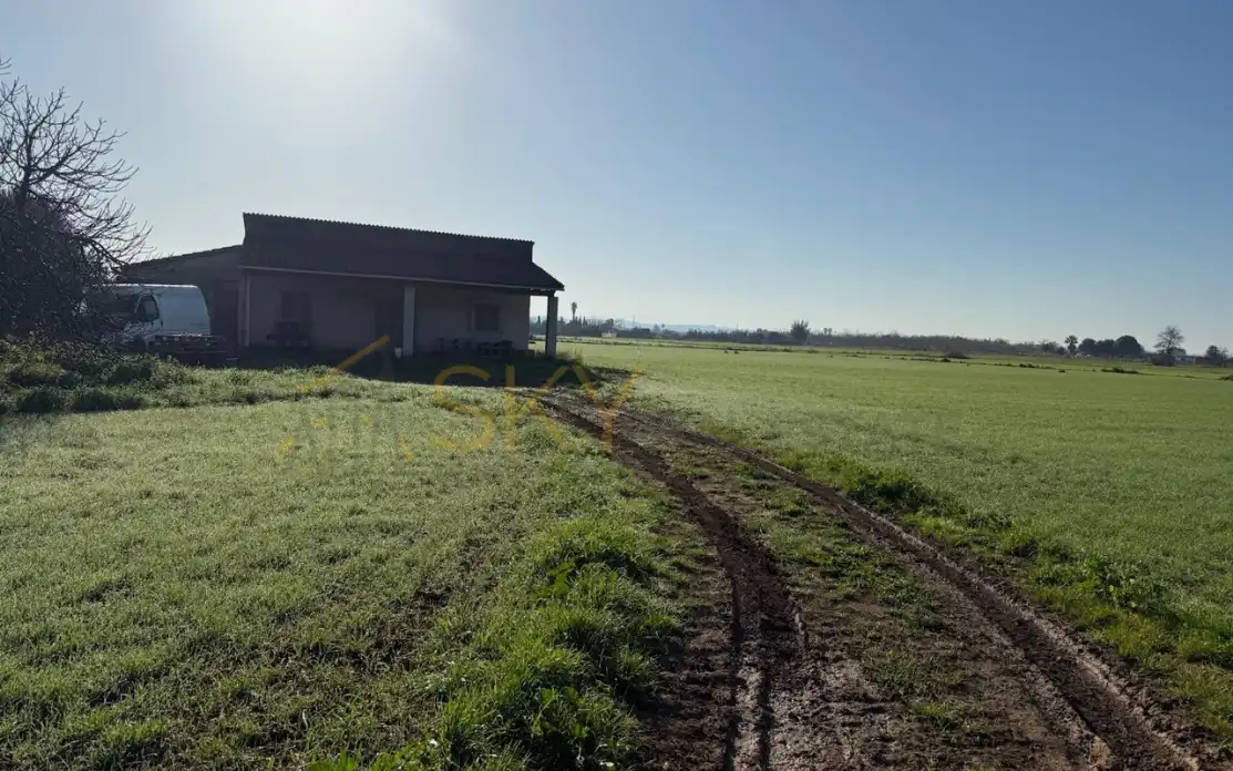 Maison rustique à vendre à Sa Pobla, imagen 3