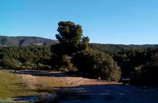 Terreni e lotti in vendita a La Ginebrosa, imagen 7