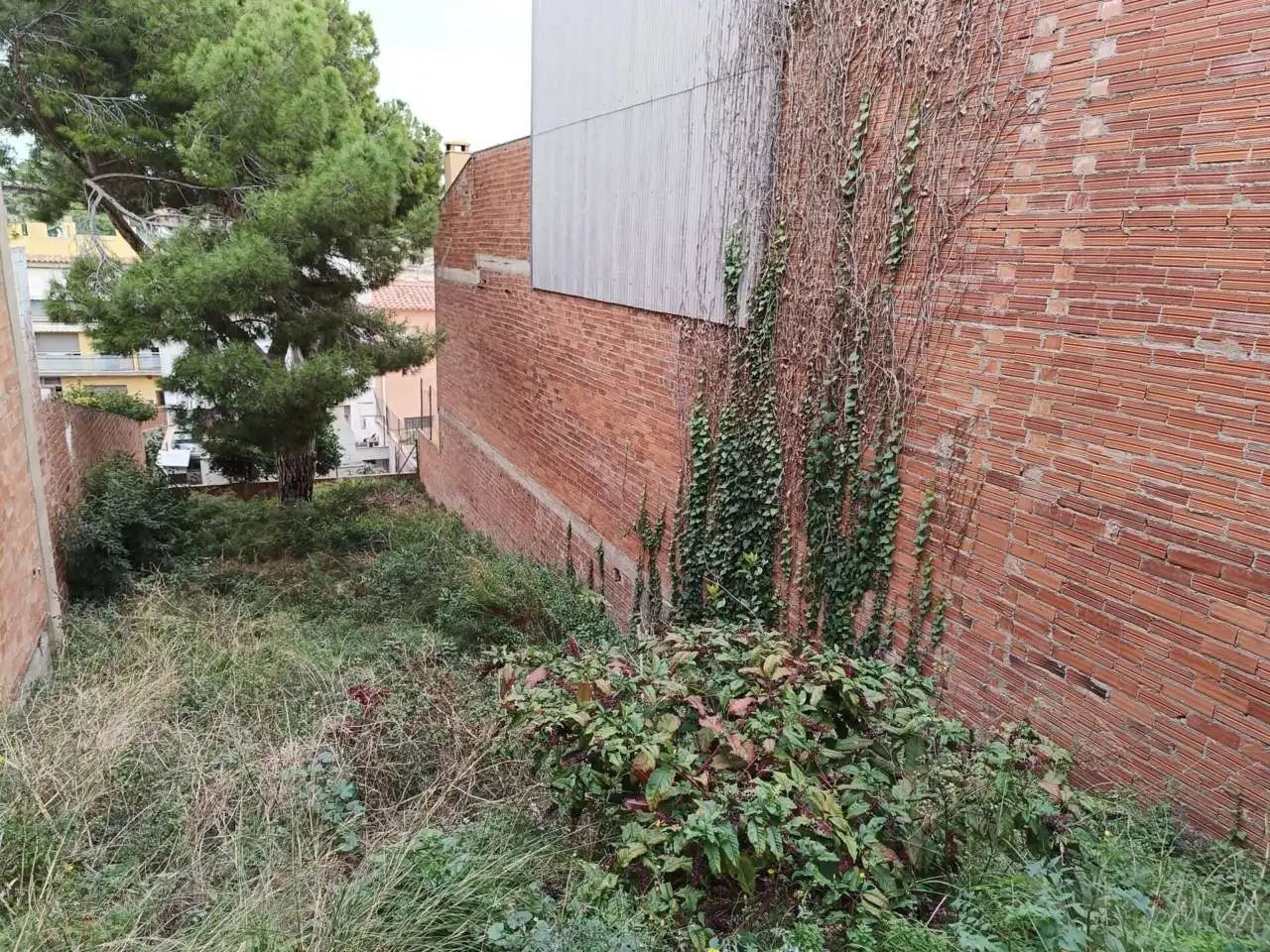 Terreny rústic en venda a Burgos, imagen 3