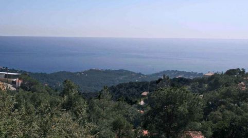 Parcela, Lloret, Serra Brava, 786m, vistas al mar