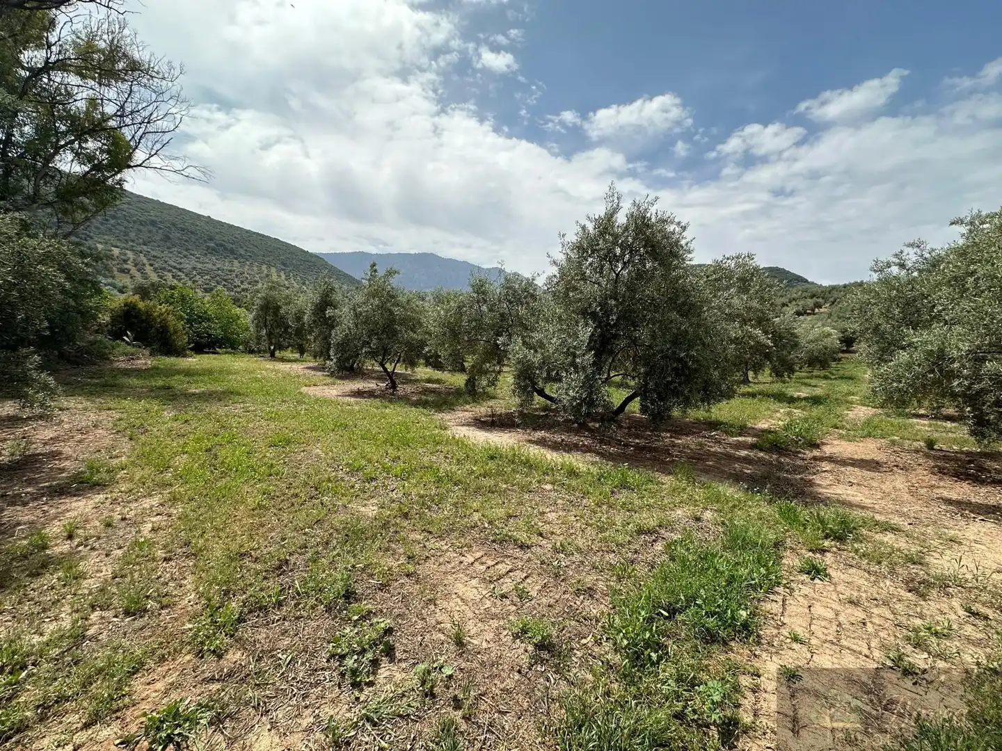 Maison avec piscine à vendre à Rute, imagen 18