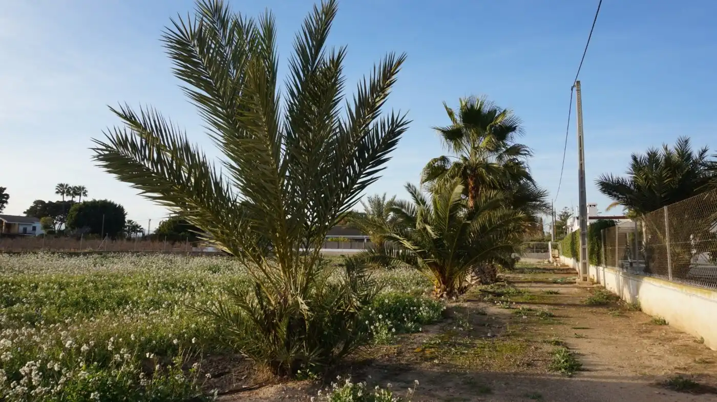 Terreno residencial en venta en Las Bayas, imagen 9