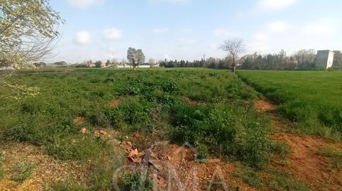 Photo 2 of Land for sale in La Poblechuela, Ciudad Real
