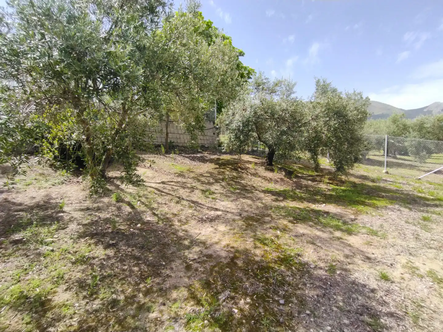 Villa mit Garten zum Verkauf in JA-3210 88, imagen 50
