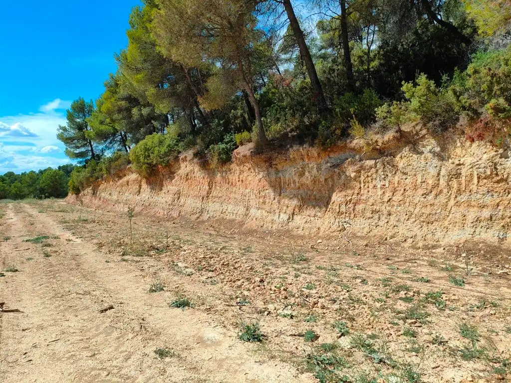 Rural land for sale in Horta de Sant Joan, imagen 11