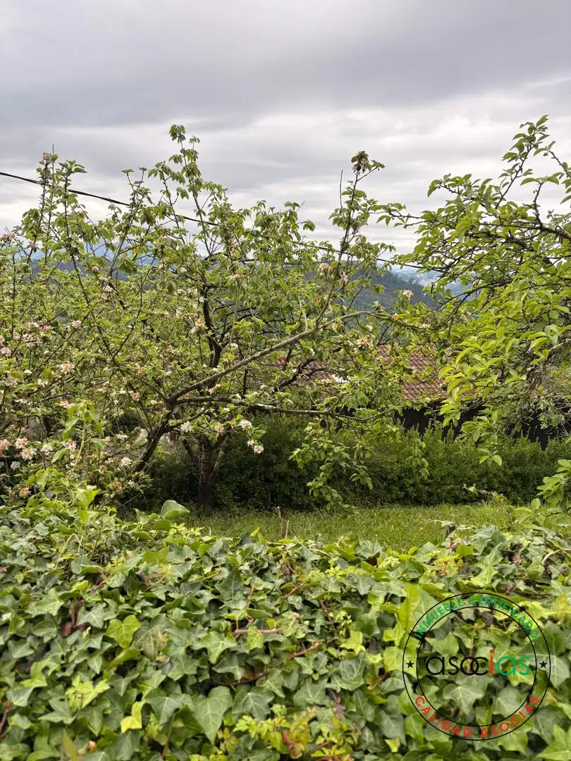 Terreni e lotti in vendita a Careses - Aldea Ordiales, imagen 17