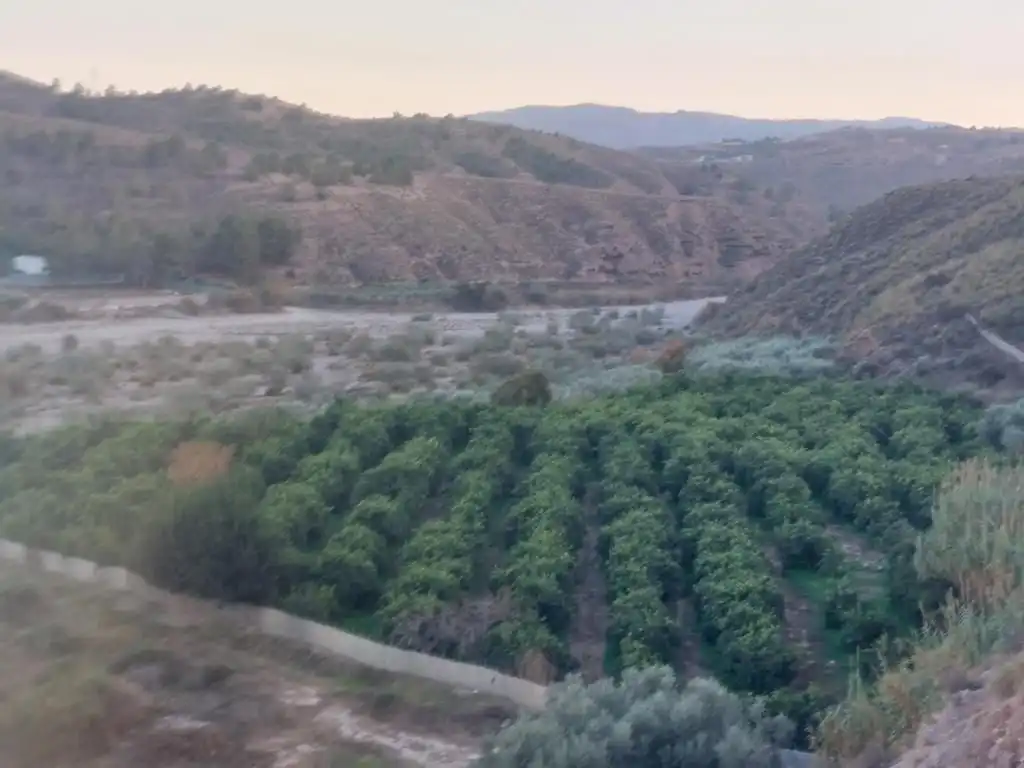 Land for sale in Alhabia