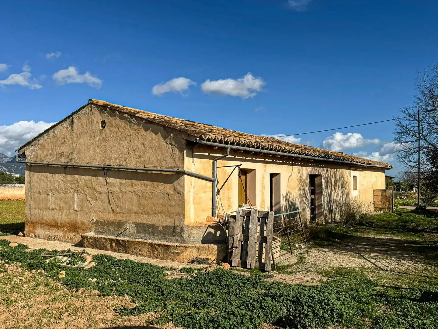 Vista exterior de Terreno industrial en venta en Binissalem