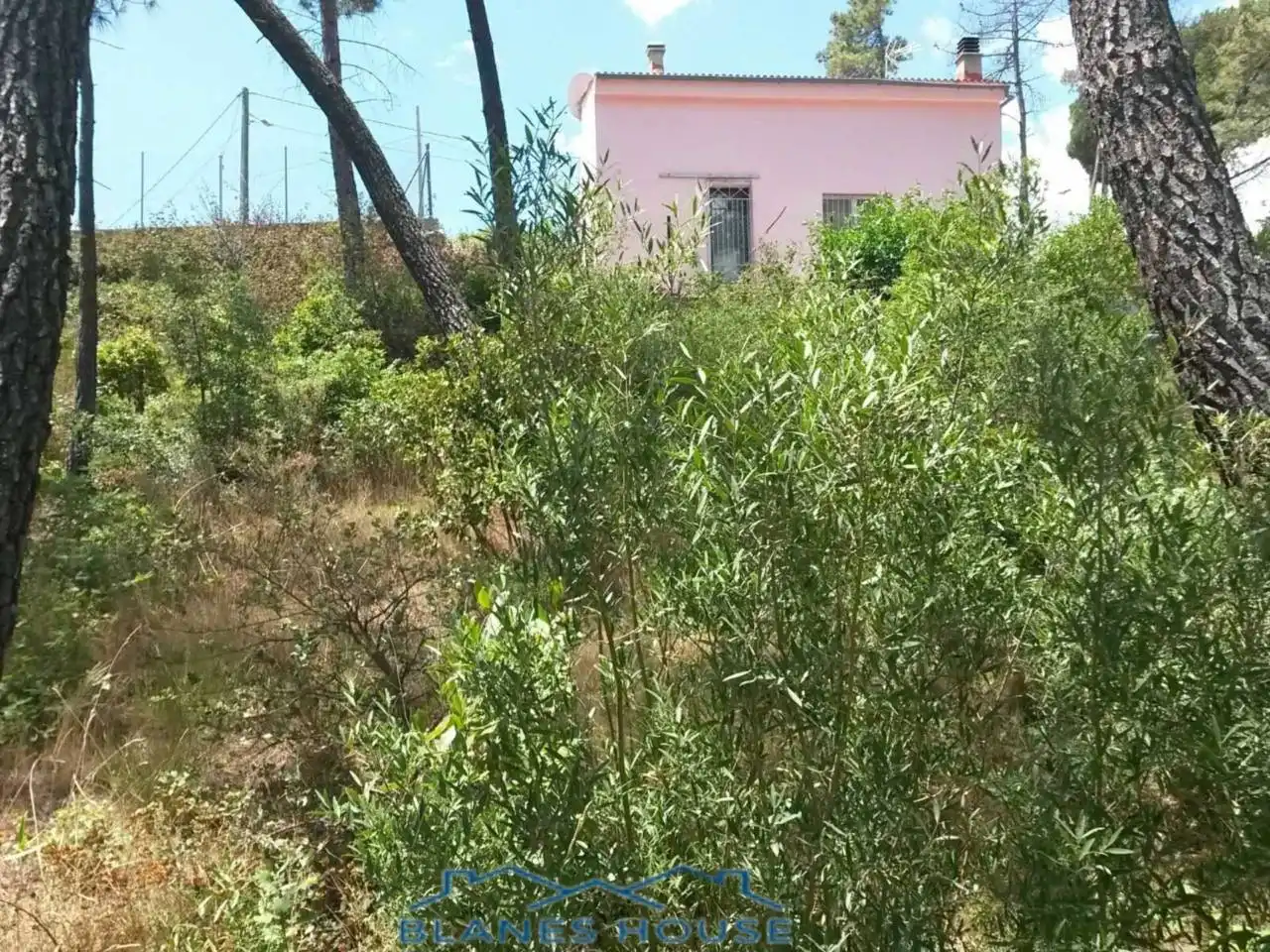 Rural land for sale in Calle MONTJUIC 8 E, imagen 3