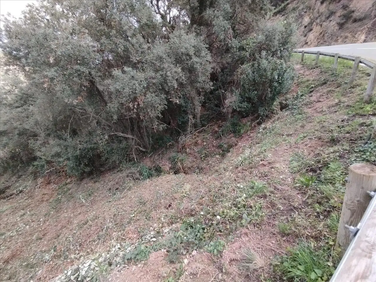 Residential for sale in Santa Cristina d'Aro