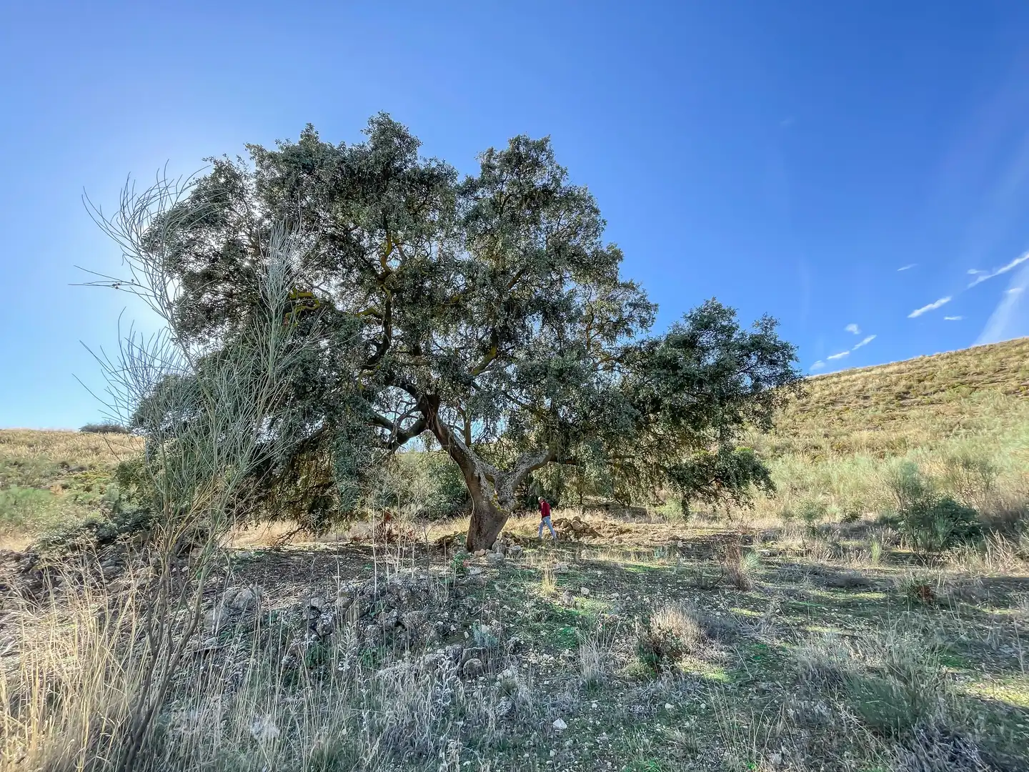 Grundstücke zum Verkauf in Alhama de Granada