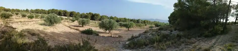 Terrenys i solars en venda a Onil, imagen 5