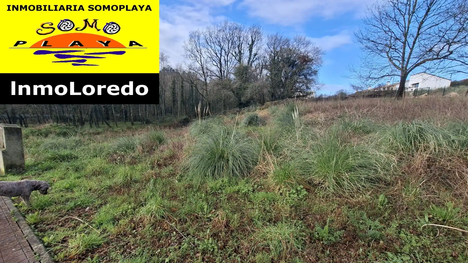 Terreni e lotti in vendita a La Cabaña Reñada, imagen 23