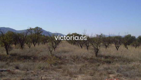 Terreno residencial en Venta en PARTIDA DELS CABESOLS en Biar