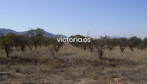 Residencial en venda a PARTIDA DELS CABESOLS, Biar
