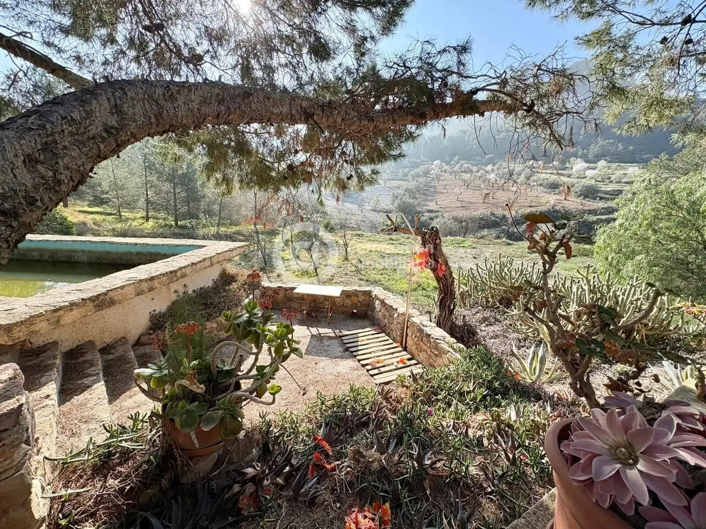Garden of Houses for sale in Lorca  with Heating, Storage room and Swimming Pool