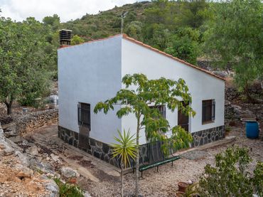 Terrain rustique à vendre à Partida Camp Redo 173
