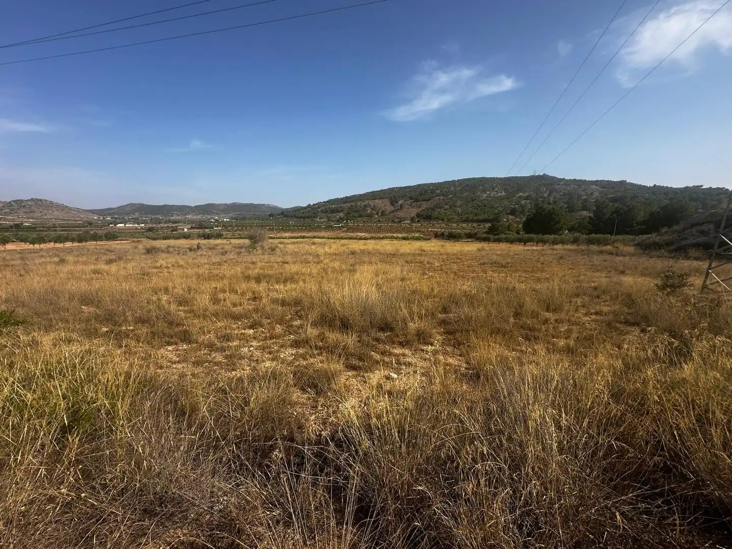 Terreny residencial en venda a El Pinós / Pinoso, imagen 5
