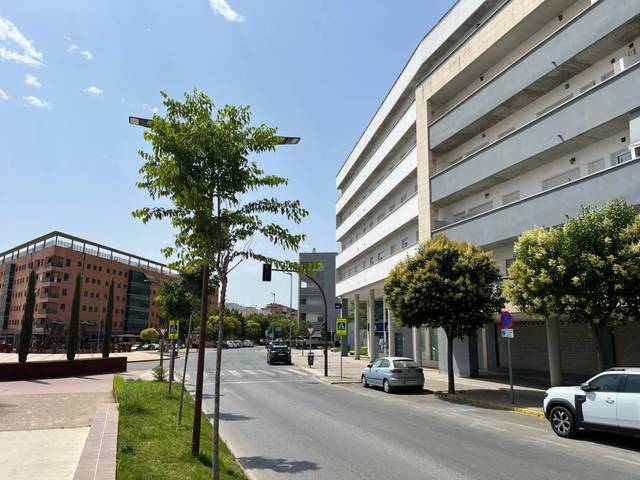 Local comercial en Alquiler en Balcón de Sevilla - Atalaya - La Uva - La Extremeña