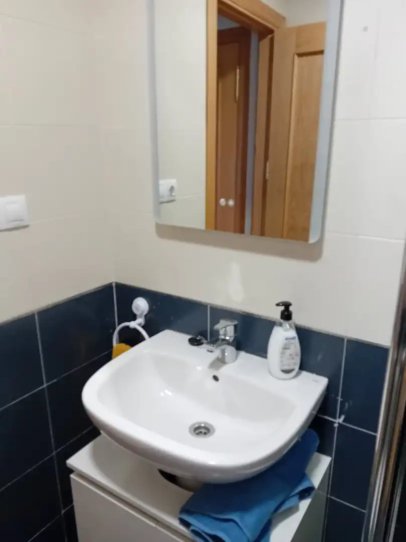 Bathroom of Flat for sale in Pozuelo de Calatrava  with Air Conditioner, Heating and Furnished