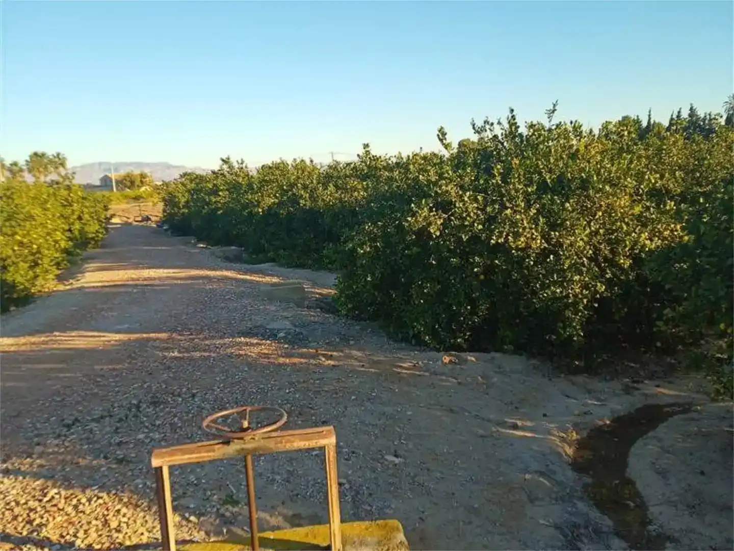 Terreno en venta en Orihuela
