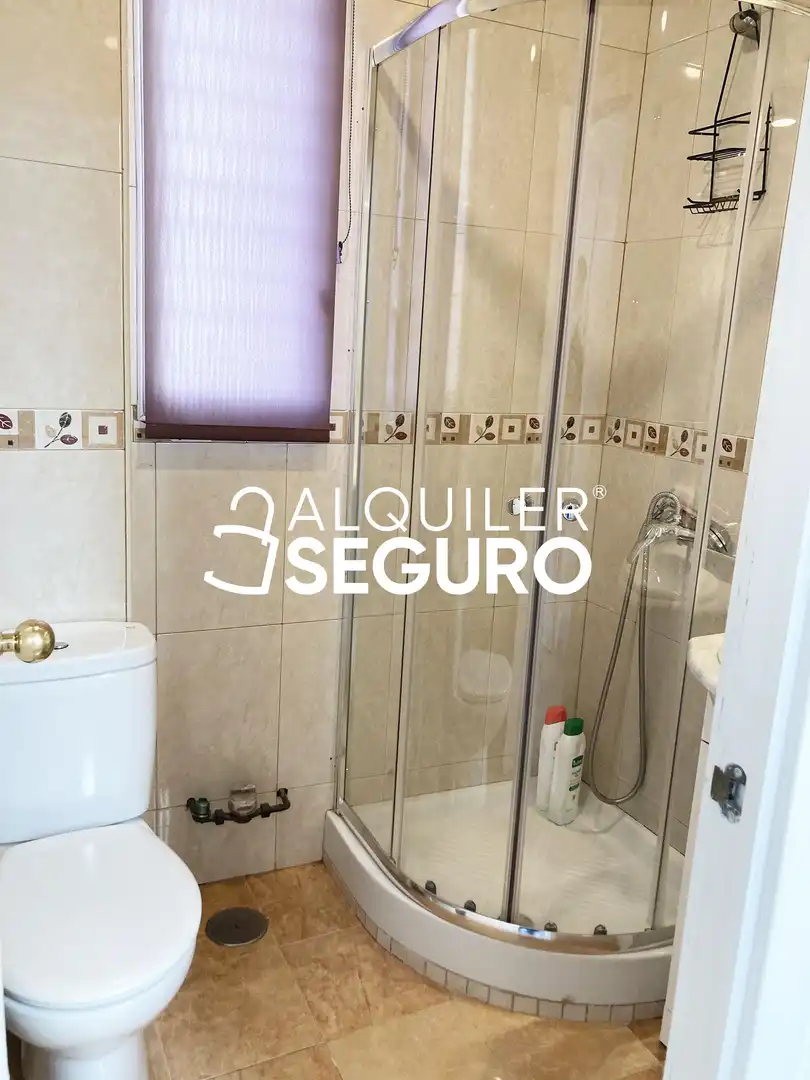 Piso de alquiler en del Olivar, Embajadores - Lavapiés