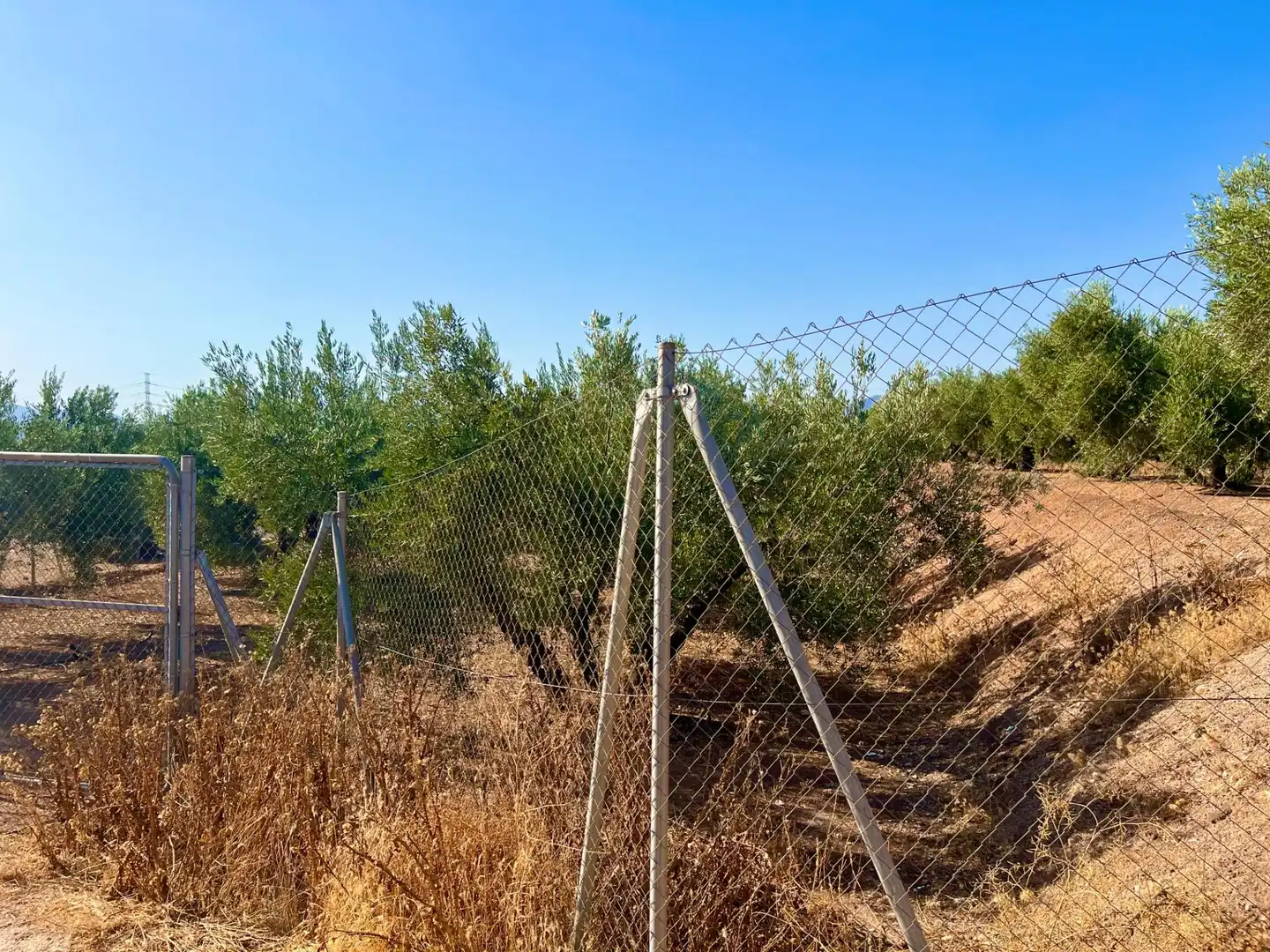 Rustikales Grundstück zum Verkauf in Albolote, imagen 62