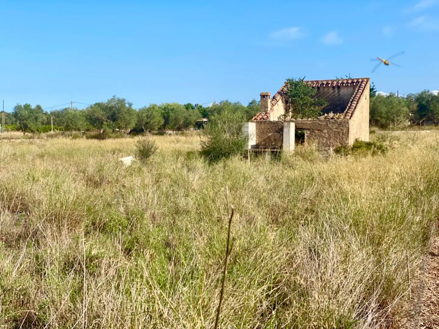 Landhaus zum Verkauf in Santa Bàrbara
