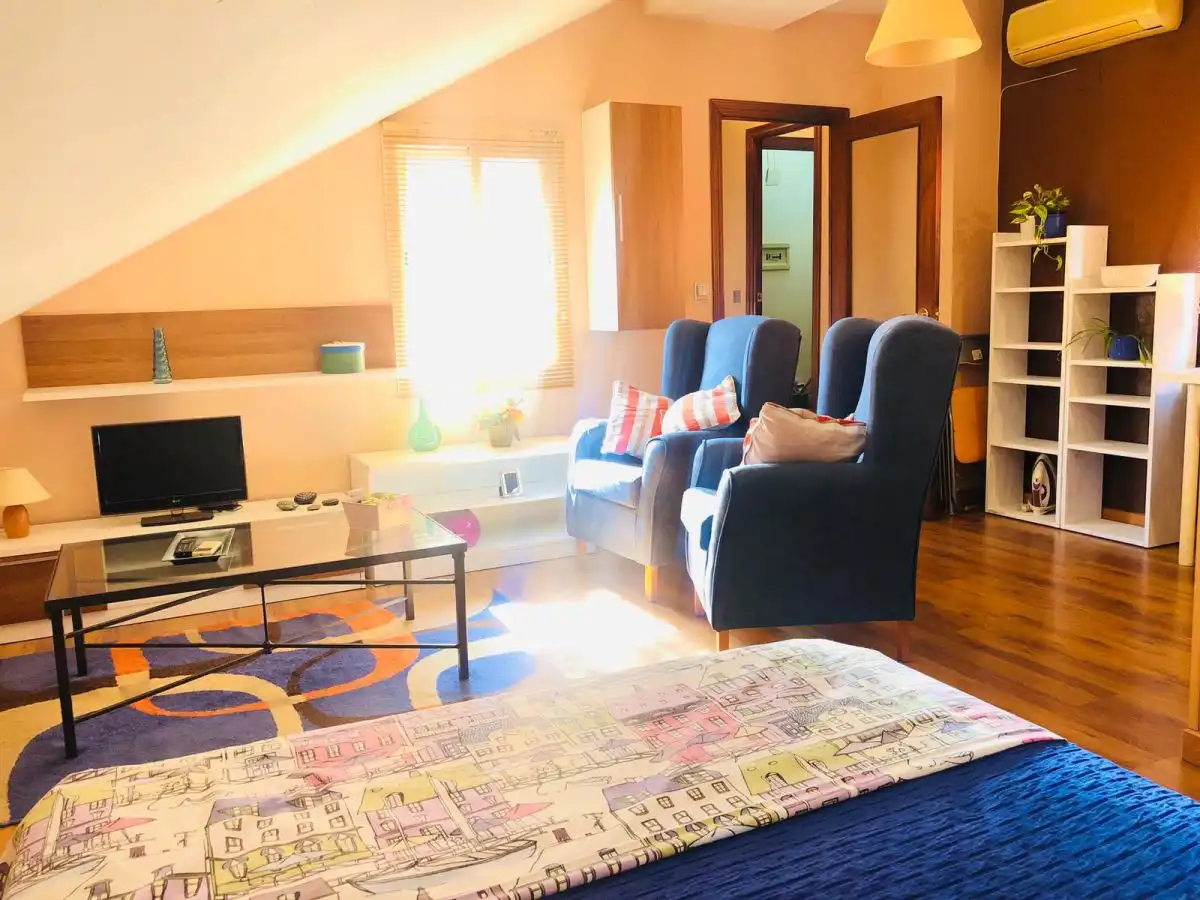 Sala d'estar de Estudi de lloguer en Badajoz Capital amb Aire condicionat, Calefacció i Parquet