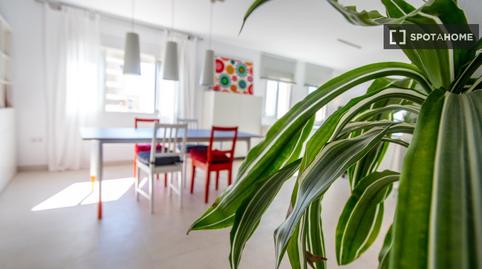 Photo 4 of Study to share in Paseo Marítimo - San José - La Laguna, Cádiz