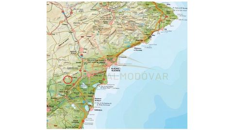 Terreno Venta Albatera, immagine 4
