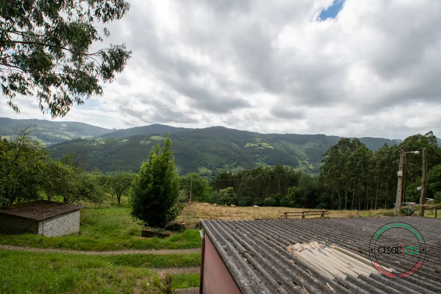Vista exterior de Casa o xalet en venda en Villaviciosa amb Jardí privat i Traster
