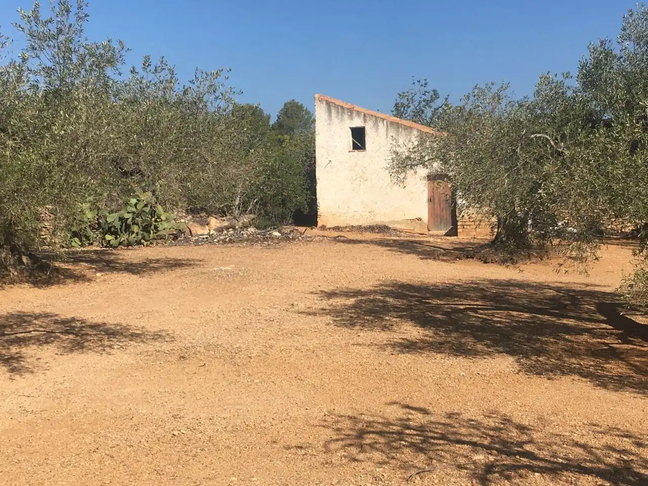 Terrenos y solares en venta en Estany Podrit, imagen 6