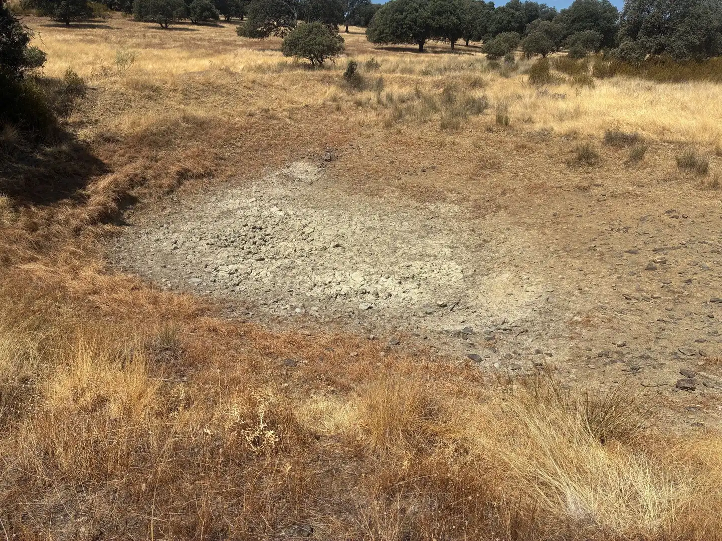 Terreno rustico in vendita a Mohedas de la Jara, imagen 20
