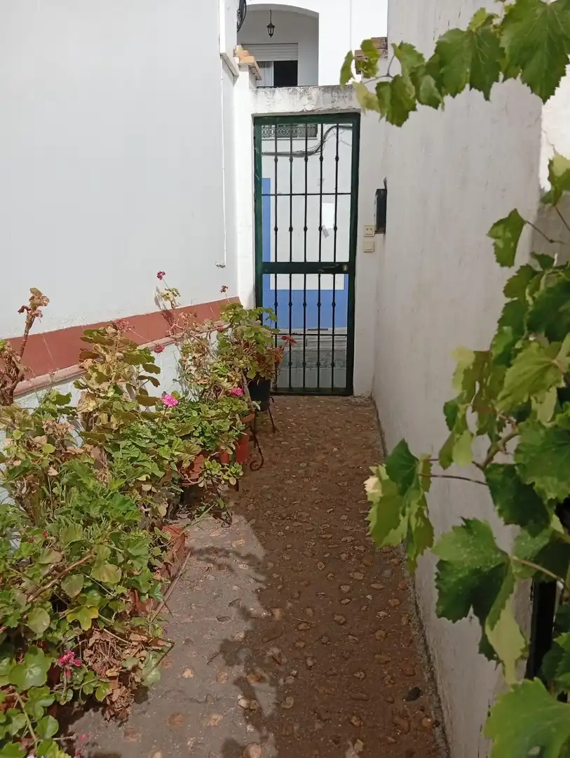 Villa avec jardin à vendre à Ayamonte ciudad, imagen 56