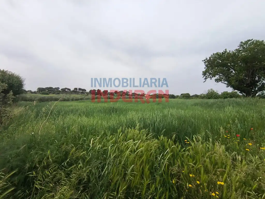 Country homes for sale in Peraleda de la Mata