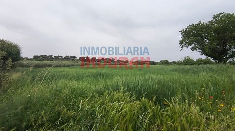 Photo 4 of Country homes for sale in Peraleda de la Mata, Cáceres