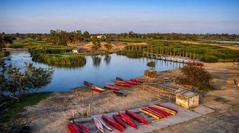 OPORTUNIDAD DE INVERSIÓN EN EL DELTA DEL EBRO, imatge 4