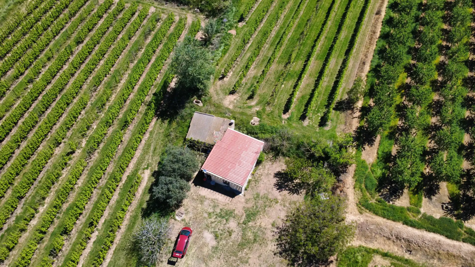 Terreno en venta en Les Borges Blanques